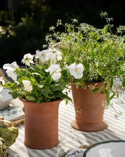 Lorenzo Terracotta Pot|UCP INTERNATIONAL COMPANY LIMITED