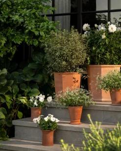 Lorenzo Terracotta Pot|UCP INTERNATIONAL COMPANY LIMITED