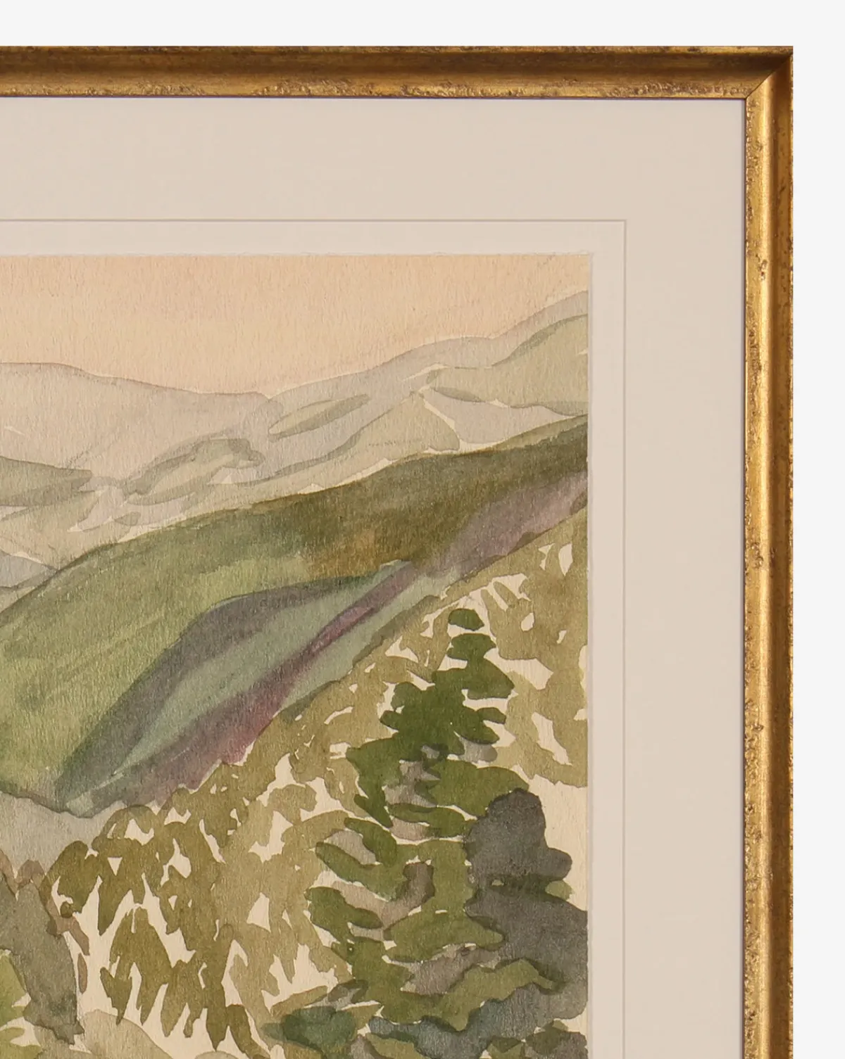 Lush Hillside|Shadow Catchers New