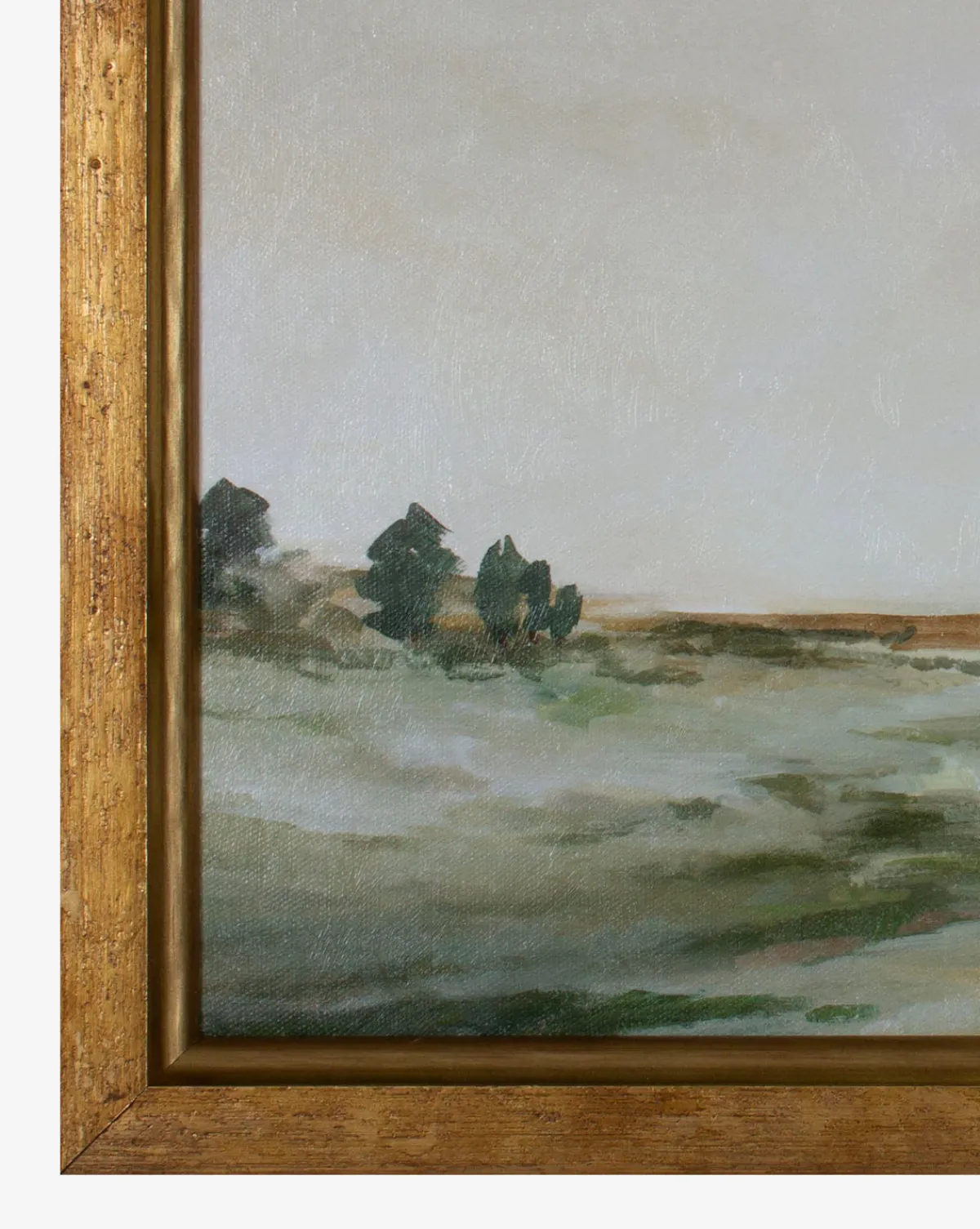 Lush Landscape|Shadow Catchers Best