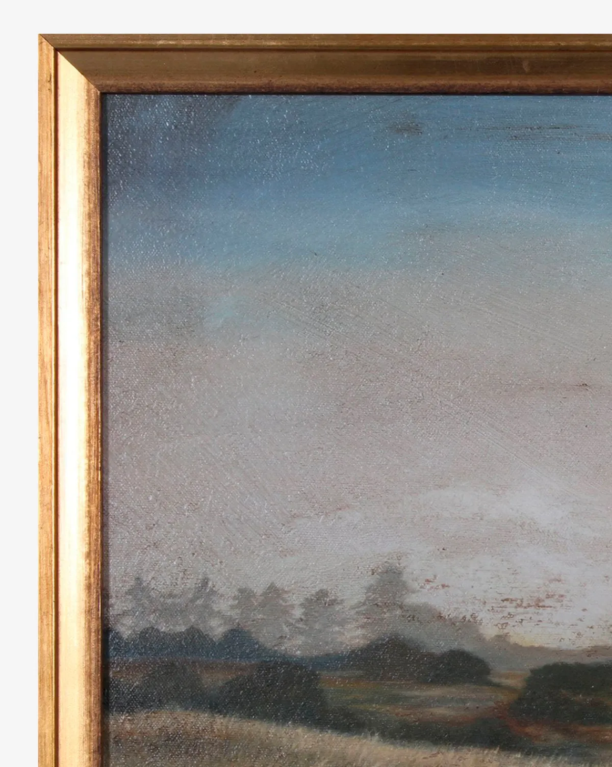 Morning Valley|Shadow Catchers Discount