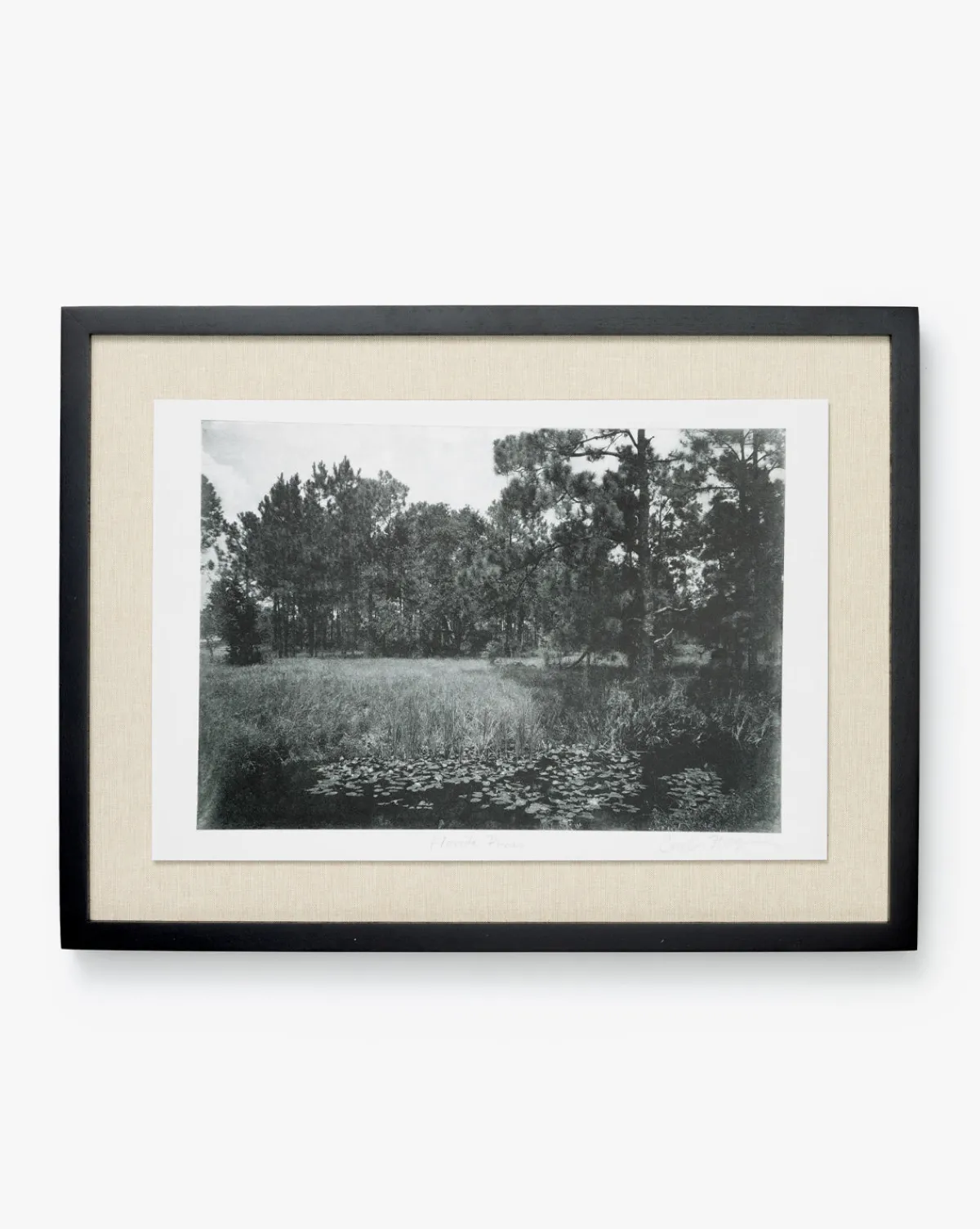 Muted Florida Pines by Carol Haymon|Four Hands Clearance