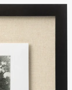 Muted Florida Pines by Carol Haymon|Four Hands Clearance