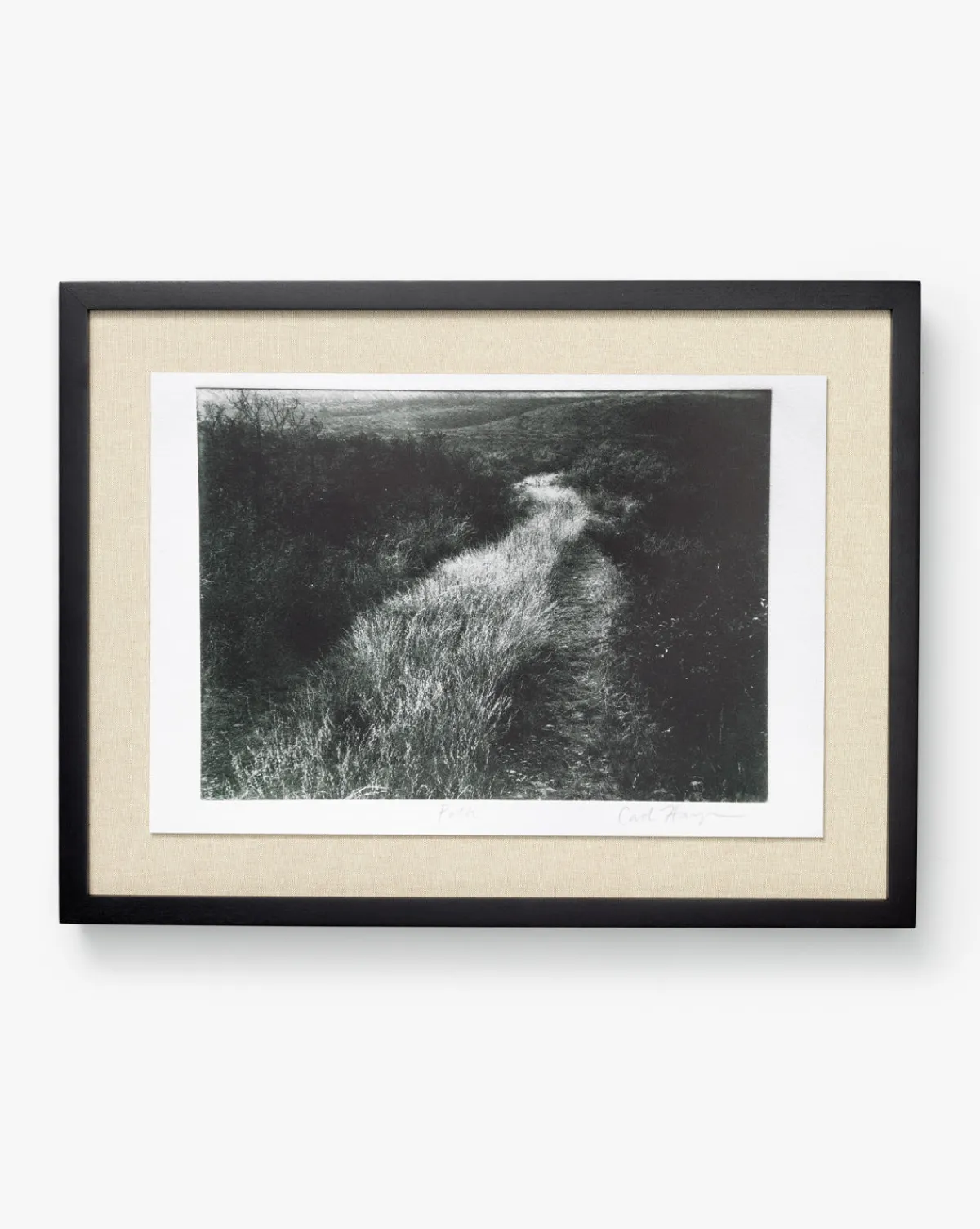 Muted Path Green by Carol Haymon|Four Hands Best