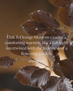 Oak & Orange Blossom Hand Lotion|Linnea's Lights Sale