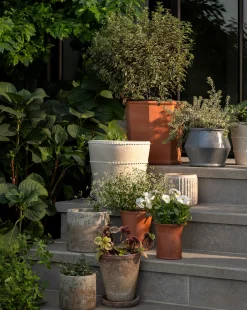 Oksana Distressed Cement Planter|Creative Co-op Hot