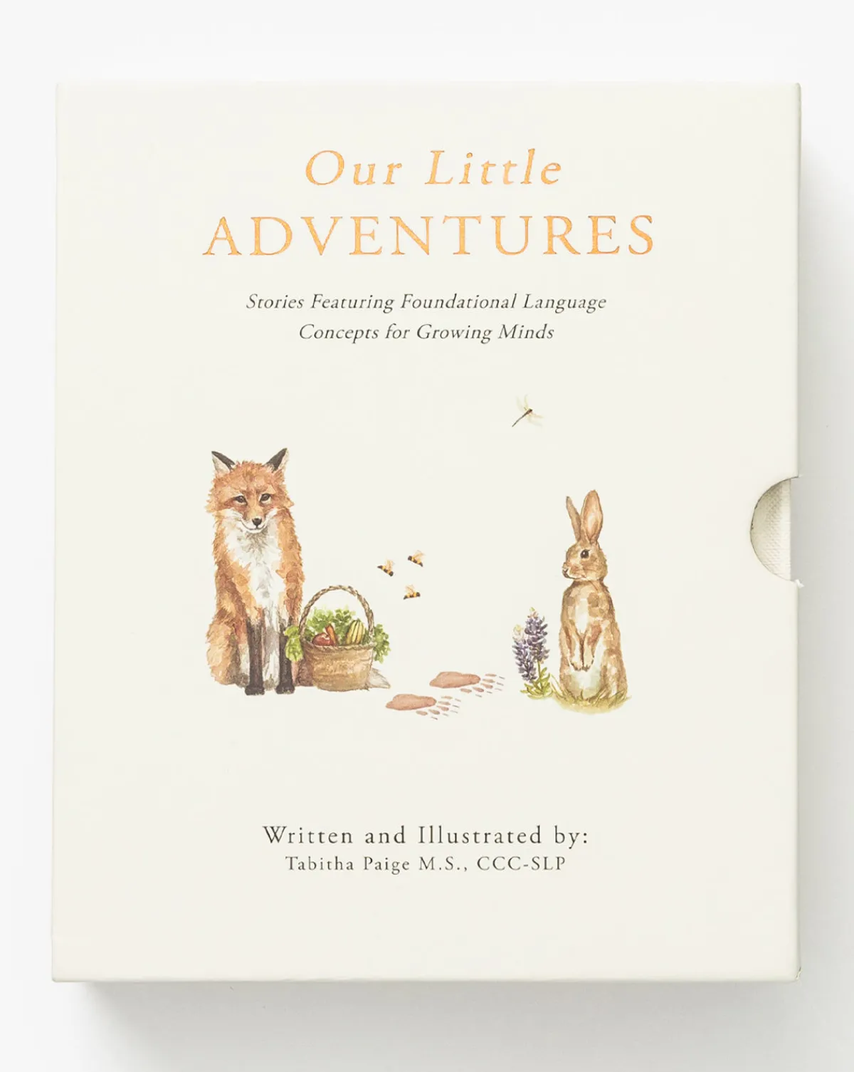 Our Little Adventures|Penguin Random House Hot
