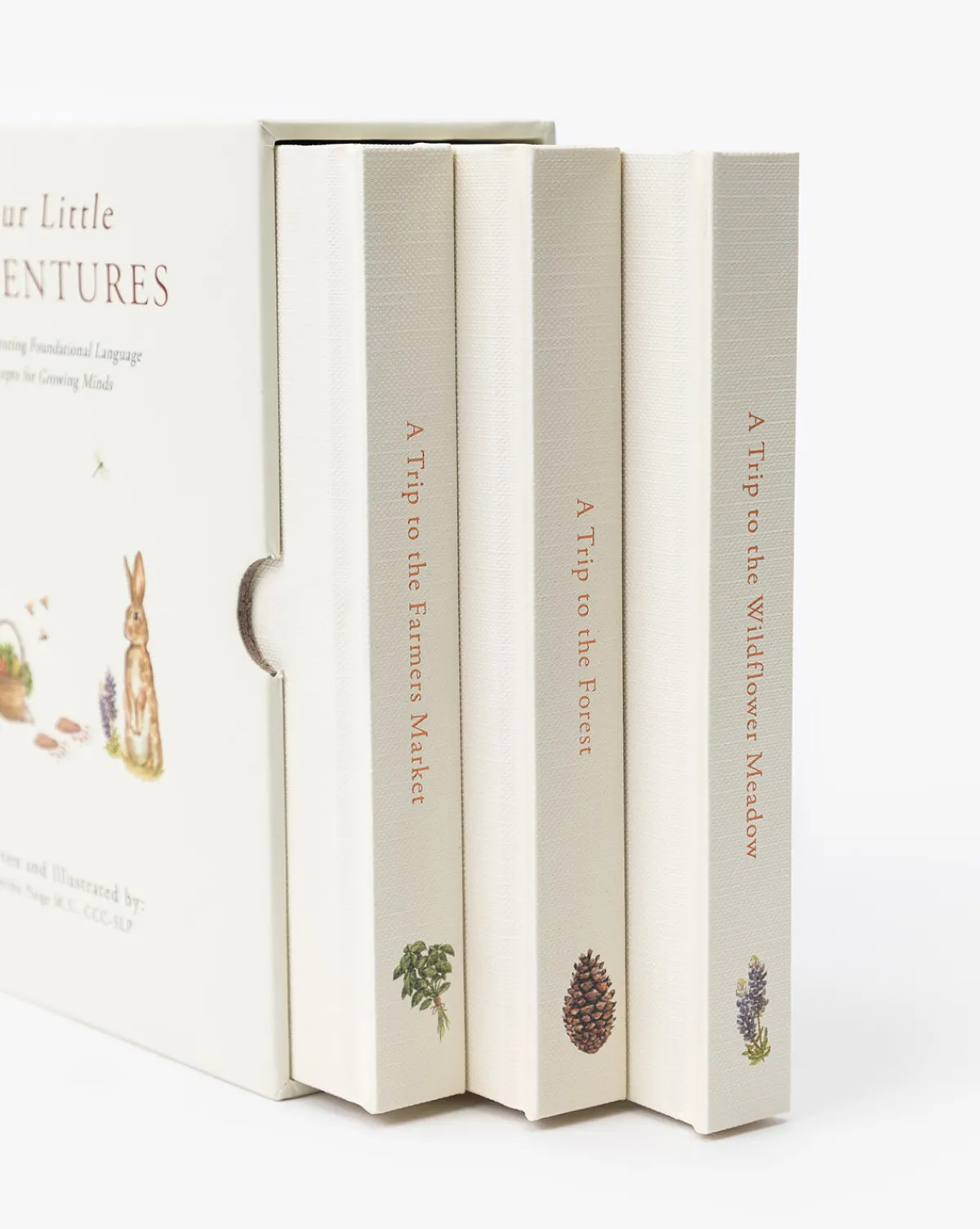 Our Little Adventures|Penguin Random House Hot