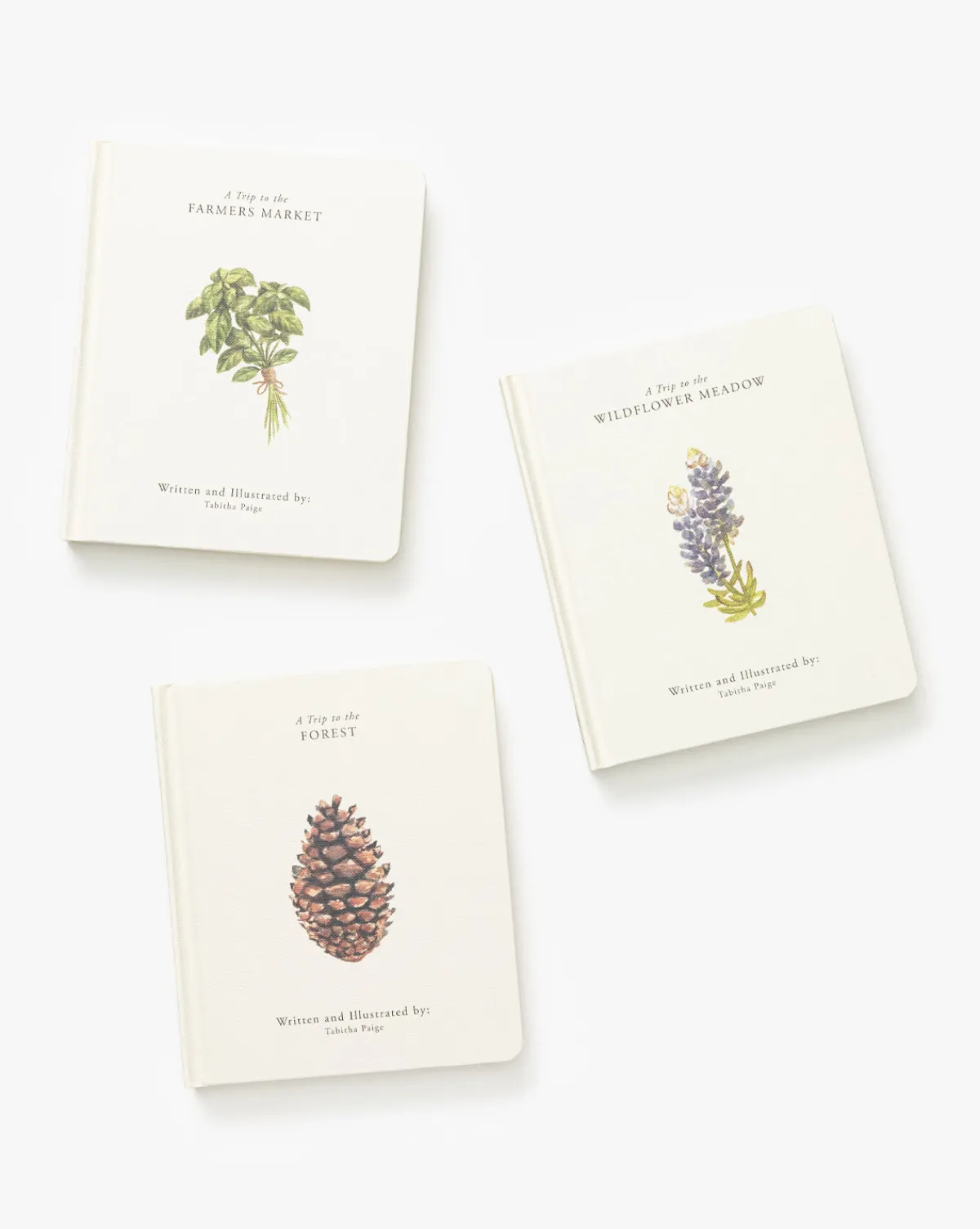 Our Little Adventures|Penguin Random House Hot