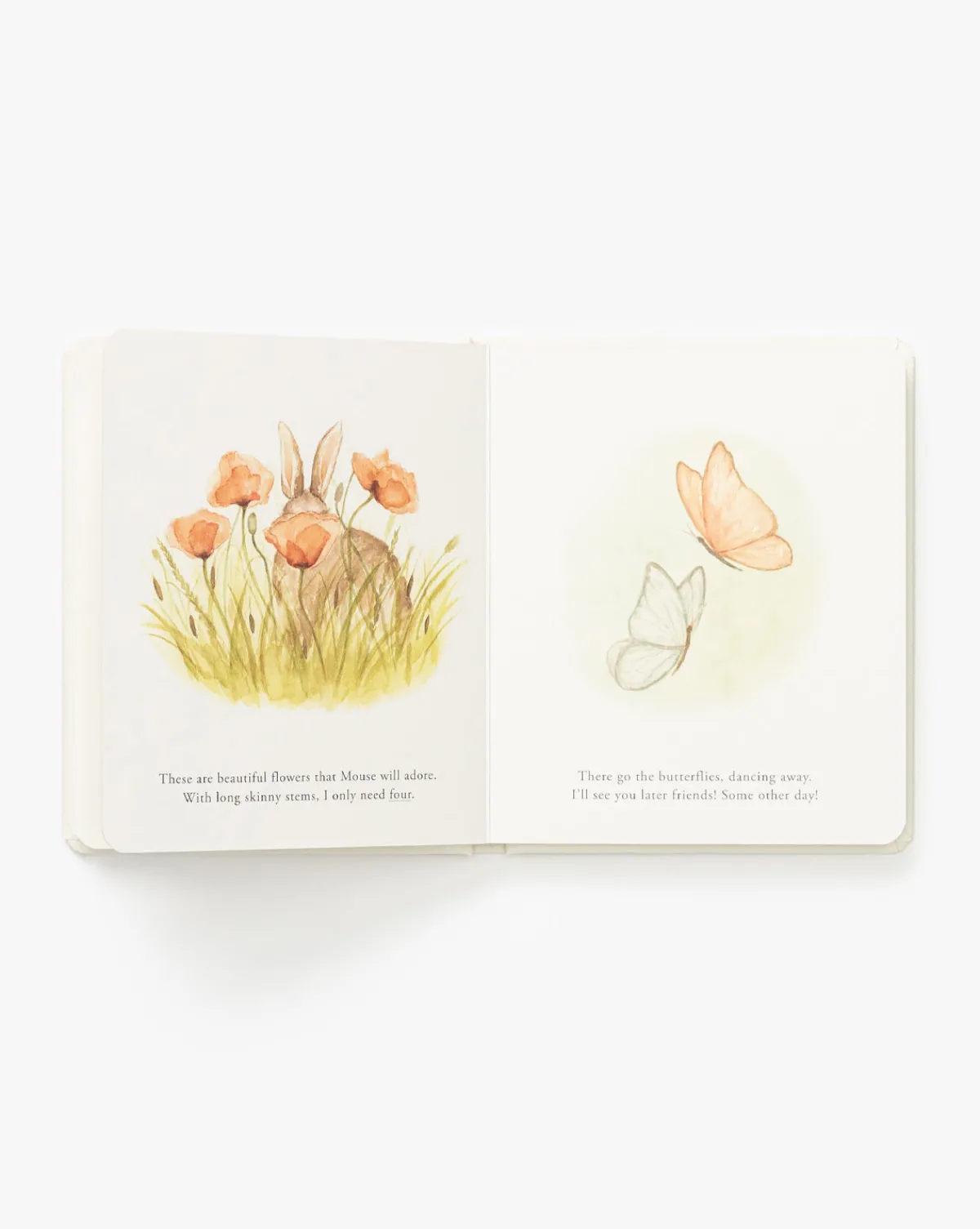 Our Little Adventures|Penguin Random House Hot