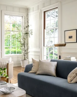 Palos Verdes|Visual Contrast Clearance