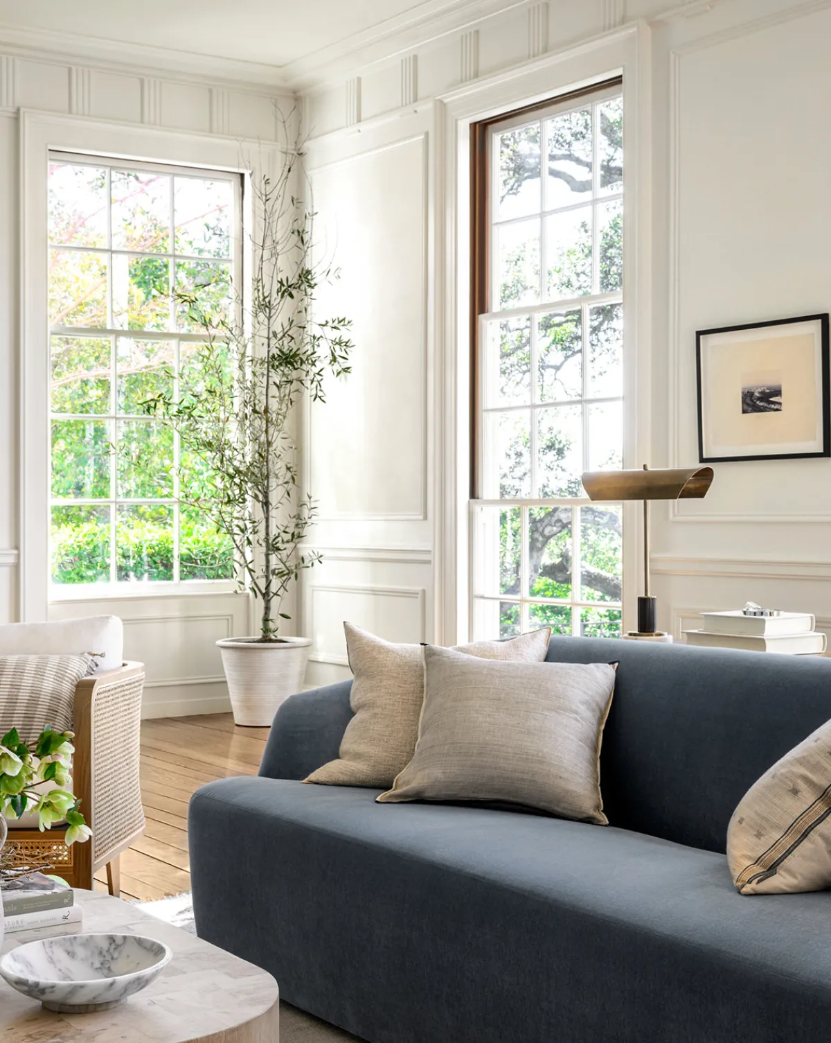 Palos Verdes|Visual Contrast Clearance