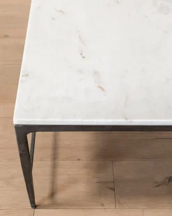 Parker Coffee Table|Prince Art Exporter Sale