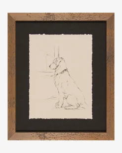 Patiently Waiting|Shadow Catchers Clearance