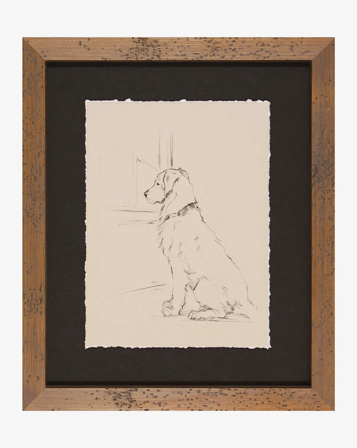 Patiently Waiting|Shadow Catchers Clearance