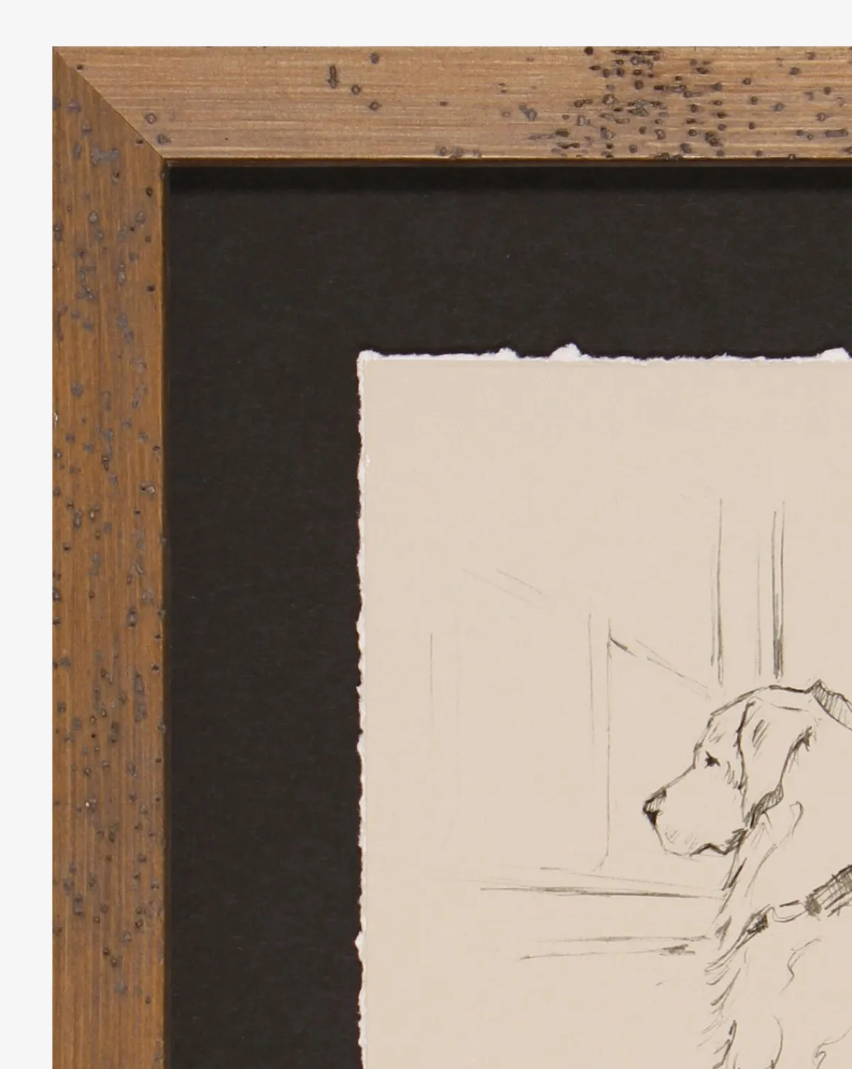 Patiently Waiting|Shadow Catchers Clearance