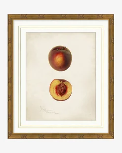 Peach Study|Art Headquarters, LLC DBA Wendover Art Group DBA Kevin O'Brien Studio
