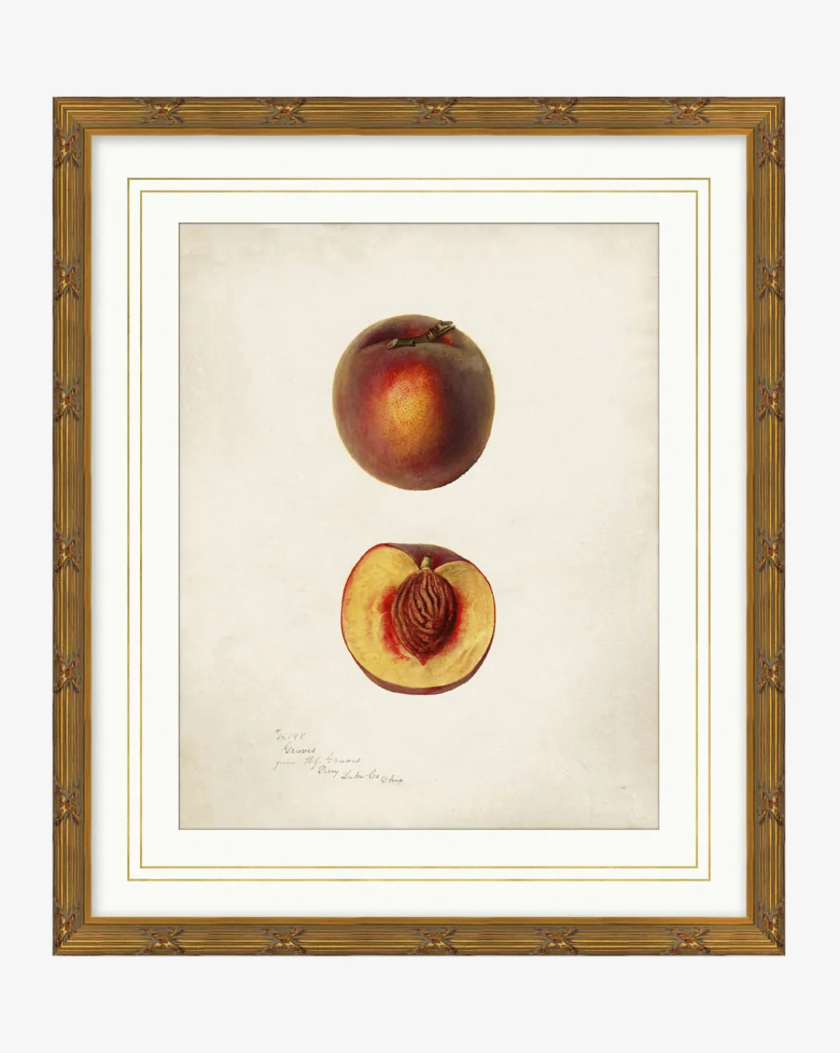 Peach Study|Art Headquarters, LLC DBA Wendover Art Group DBA Kevin O'Brien Studio