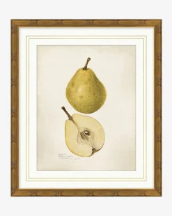 Pear Study|Art Headquarters, LLC DBA Wendover Art Group DBA Kevin O'Brien Studio Sale