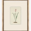 Petite Floral I|Art Headquarters, LLC DBA Wendover Art Group DBA Kevin O'Brien Studio Outlet
