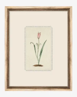 Petite Floral I|Art Headquarters, LLC DBA Wendover Art Group DBA Kevin O'Brien Studio Outlet