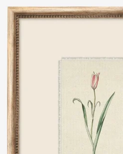 Petite Floral I|Art Headquarters, LLC DBA Wendover Art Group DBA Kevin O'Brien Studio Outlet