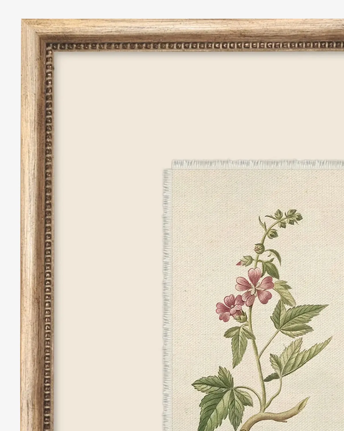 Petite Floral III|Art Headquarters, LLC DBA Wendover Art Group DBA Kevin O'Brien Studio Hot