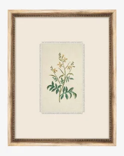 Petite Floral IX|Art Headquarters, LLC DBA Wendover Art Group DBA Kevin O'Brien Studio Sale