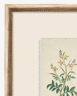 Petite Floral IX|Art Headquarters, LLC DBA Wendover Art Group DBA Kevin O'Brien Studio Sale