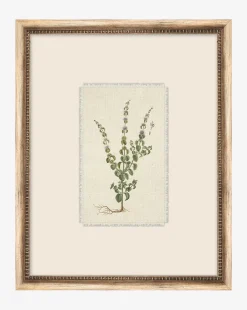 Petite Floral VI|Art Headquarters, LLC DBA Wendover Art Group DBA Kevin O'Brien Studio Hot