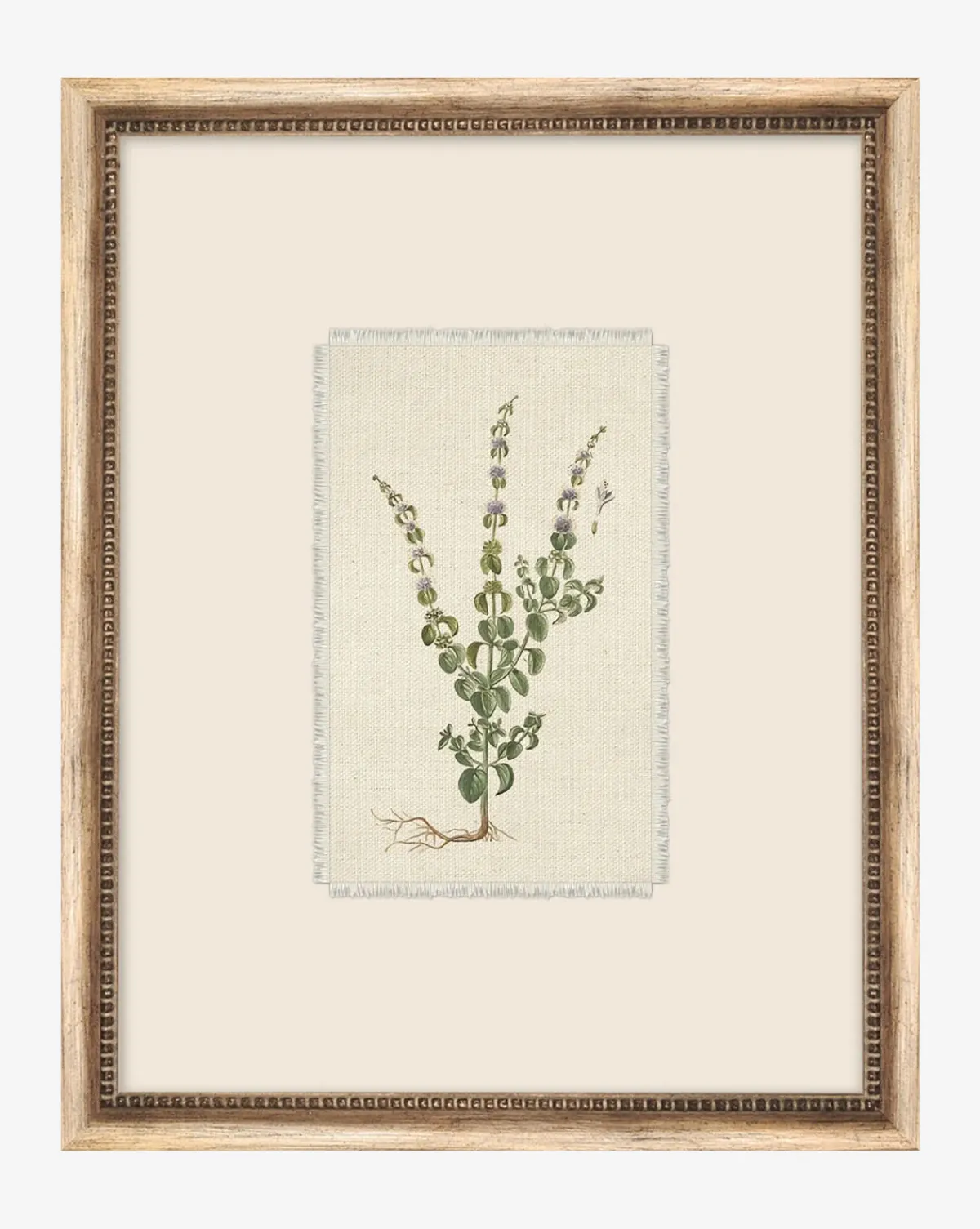 Petite Floral VI|Art Headquarters, LLC DBA Wendover Art Group DBA Kevin O'Brien Studio Hot