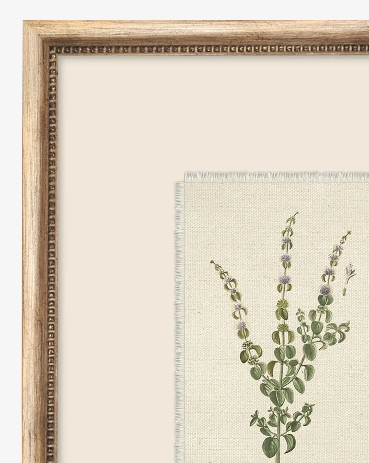 Petite Floral VI|Art Headquarters, LLC DBA Wendover Art Group DBA Kevin O'Brien Studio Hot