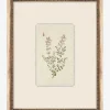 Petite Floral VII|Art Headquarters, LLC DBA Wendover Art Group DBA Kevin O'Brien Studio Sale