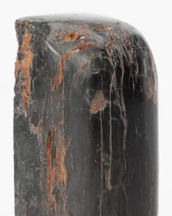 Petrified Wood Bookends (Set of 2)|Makerspalm Outlet