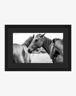 Photograph of Horses by Stokley Berg|Art Headquarters, LLC DBA Wendover Art Group DBA Kevin O'Brien Studio Best