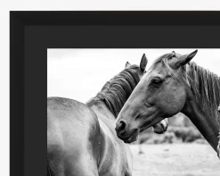 Photograph of Horses by Stokley Berg|Art Headquarters, LLC DBA Wendover Art Group DBA Kevin O'Brien Studio Best