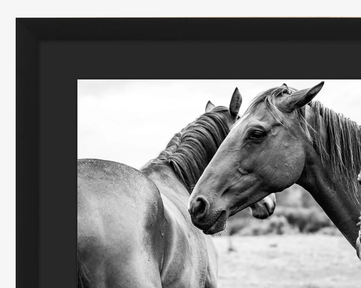 Photograph of Horses by Stokley Berg|Art Headquarters, LLC DBA Wendover Art Group DBA Kevin O'Brien Studio Best