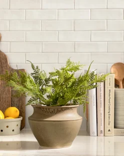 Plumosa Fern Drop-In|Napa Home & Garden Clearance