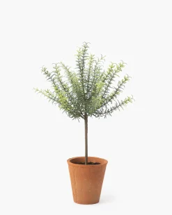 Potted Faux Rosemary Topiary|UCP INTERNATIONAL COMPANY LIMITED Sale