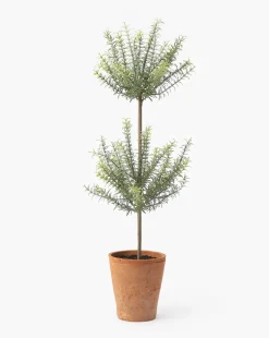 Potted Faux Rosemary Topiary|UCP INTERNATIONAL COMPANY LIMITED Sale