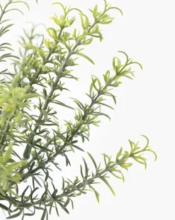 Potted Faux Rosemary Topiary|UCP INTERNATIONAL COMPANY LIMITED Sale