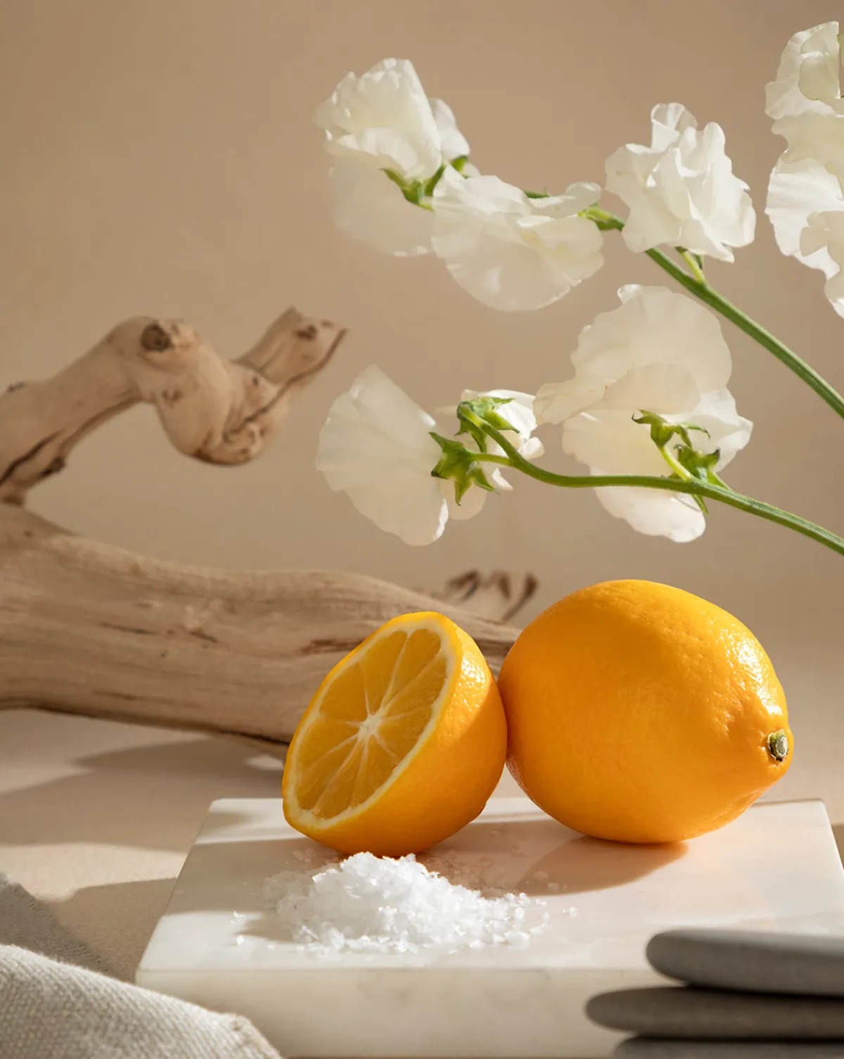 Pura x Studio McGee Seaside Terrace Home Fragrance Refill|Pura Scents Online