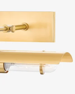 Raelynn Picture Light|Hudson Valley Lighting Discount