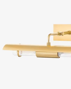 Raelynn Picture Light|Hudson Valley Lighting Discount