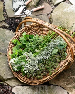 Rattan Gardening Tray|CV. WIDHI ASIH BALI EXPORT New