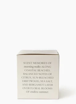 Salt & Sea Candle|Linnea's Lights Clearance