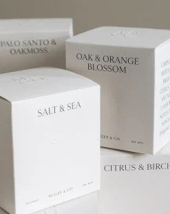 Salt & Sea Candle|Linnea's Lights Clearance