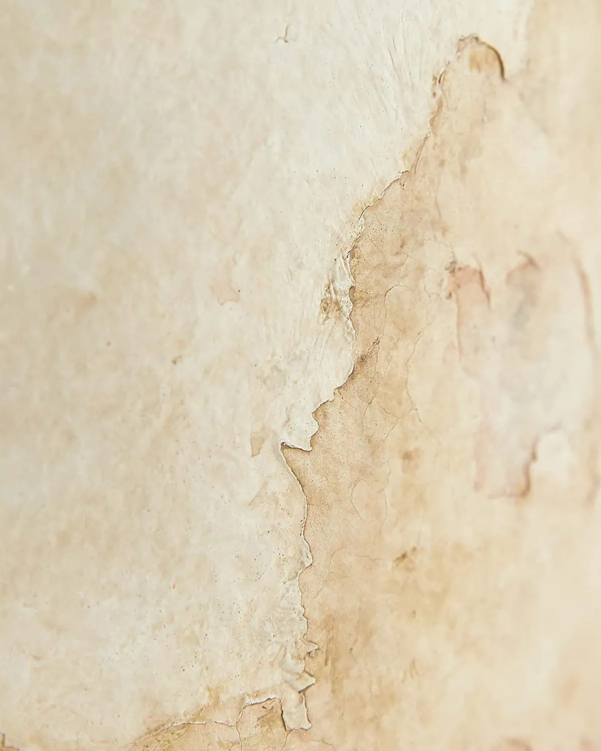 Samala Lamp|Arteriors Outlet