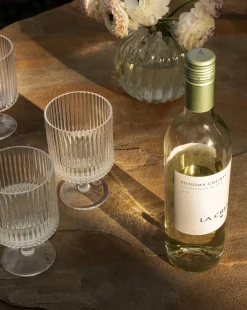 Sanibel Acrylic Goblets (Set of 4)|TAR HONG DIRECT Online