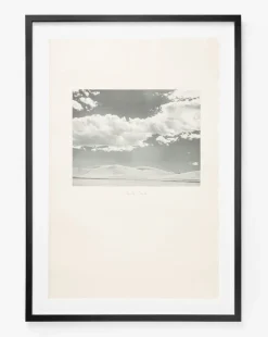 Santa Cruz|Visual Contrast Discount